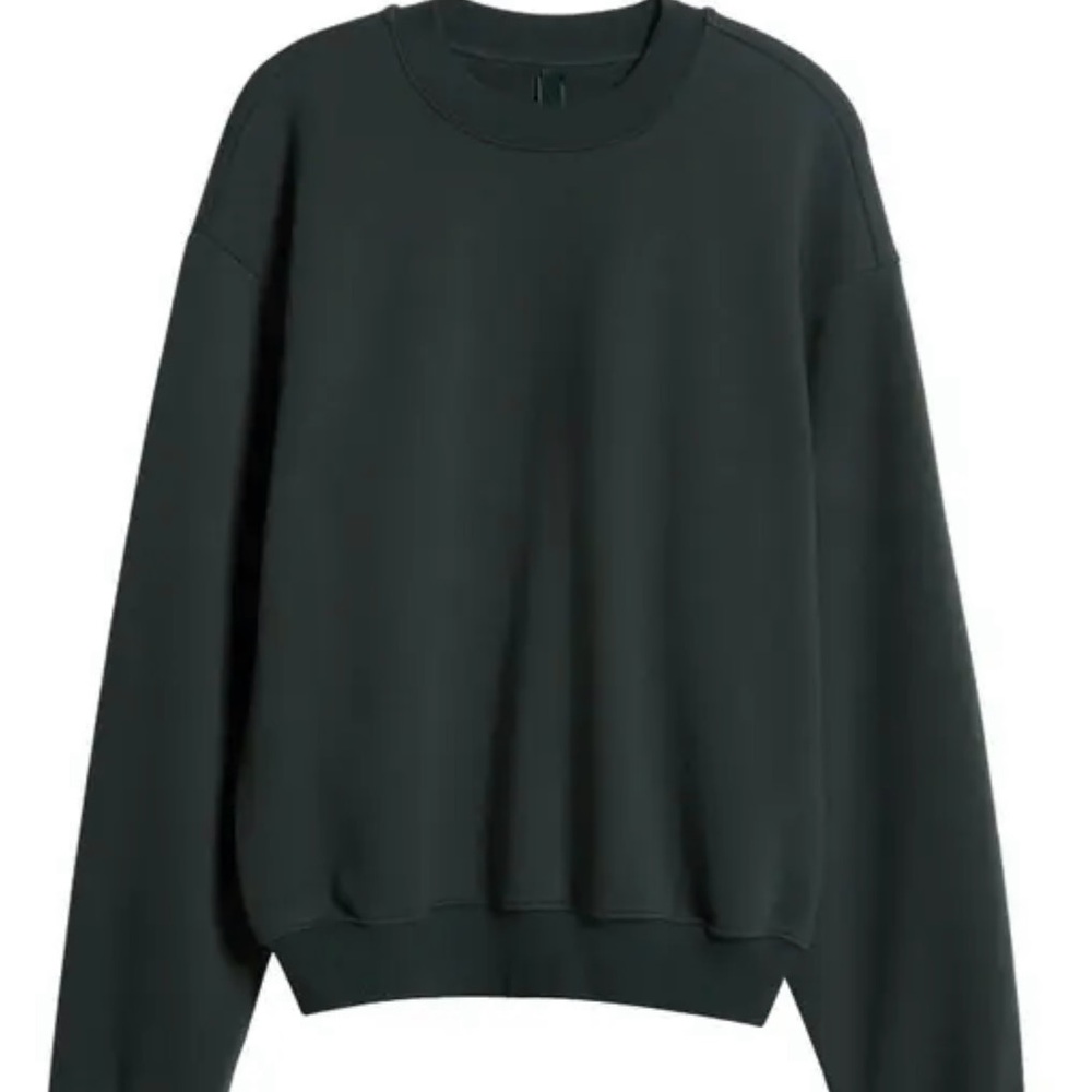 Skims Sweatshirt Spruce